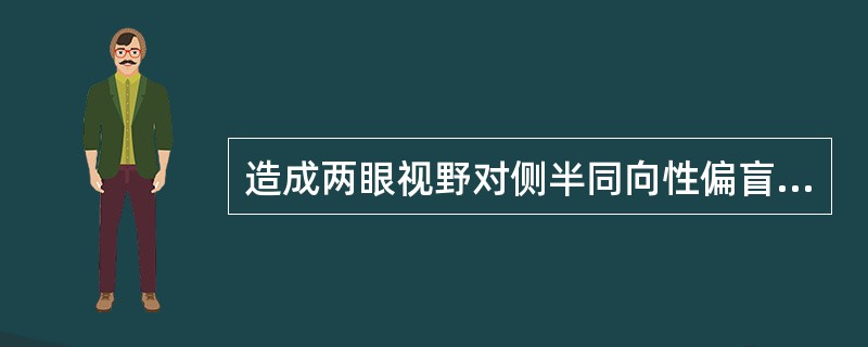 造成两眼视野对侧半同向性偏盲的损伤部位是（）