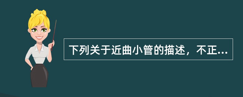 下列关于近曲小管的描述，不正确的是（）。