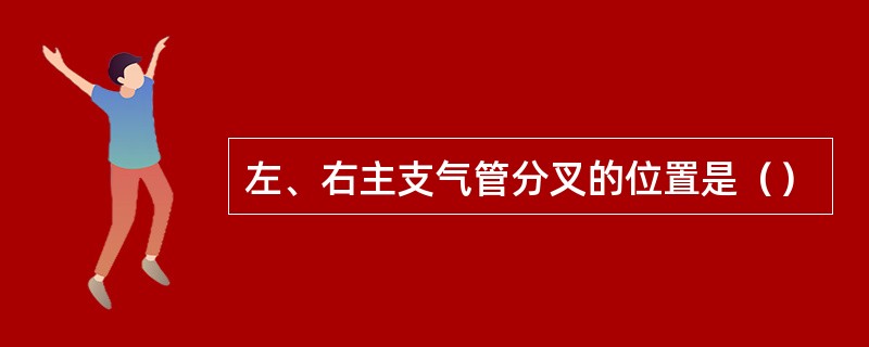 左、右主支气管分叉的位置是（）