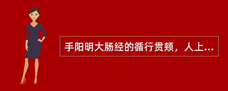 手阳明大肠经的循行贯颊，人上齿中。（）