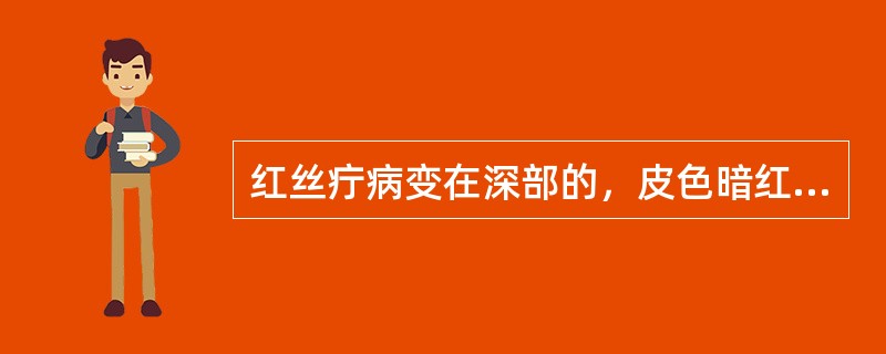 红丝疔病变在深部的，皮色暗红，但一定能看到“红丝”。（）