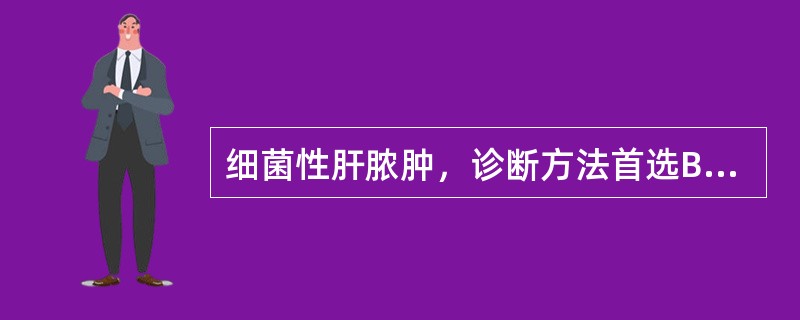 细菌性肝脓肿，诊断方法首选B型超声波，其肝脏超声图像应是（）。