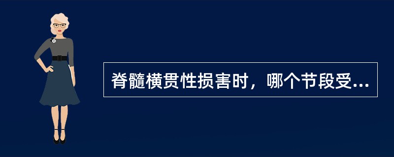 脊髓横贯性损害时，哪个节段受损出现双下肢下运动神经元性瘫，双下肢及会阴部各种感觉缺失，尿便障碍（）