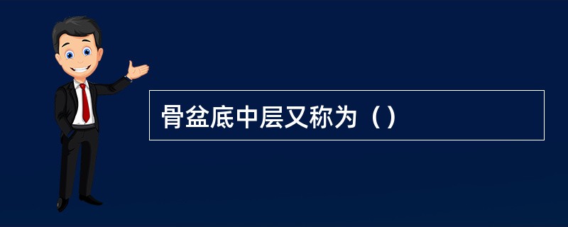 骨盆底中层又称为（）