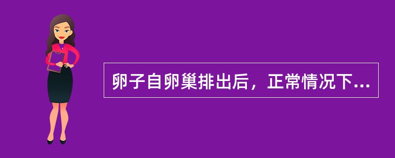 卵子自卵巢排出后，正常情况下受精是在输卵管的（）