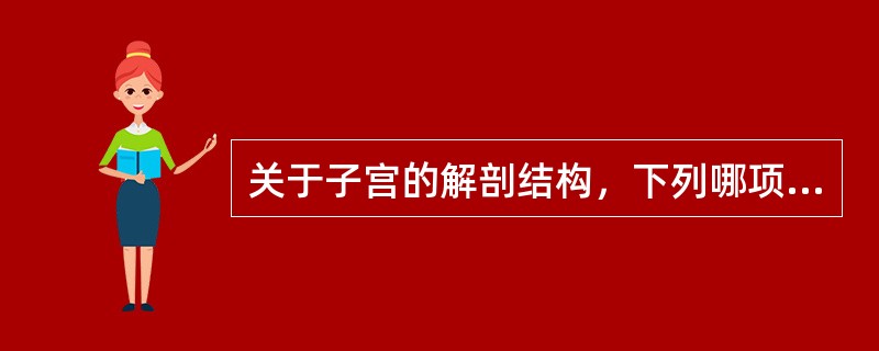 关于子宫的解剖结构，下列哪项不正确（）