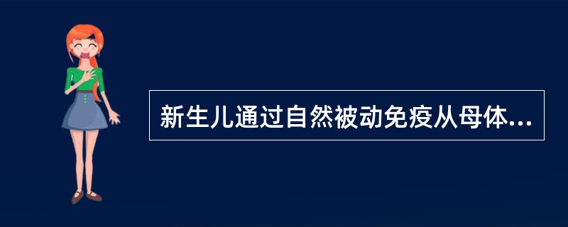 新生儿通过自然被动免疫从母体获得的主要Ig是（）