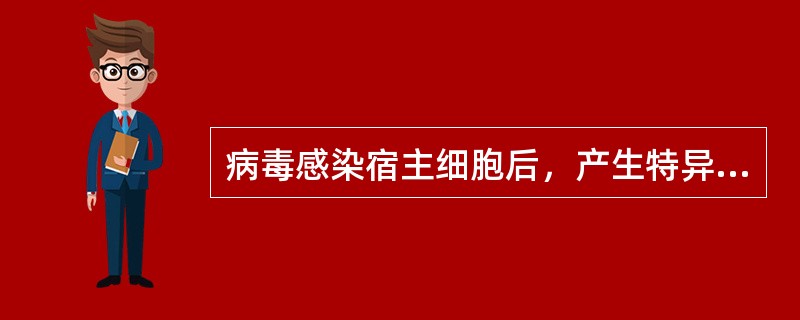 病毒感染宿主细胞后，产生特异性杀伤的主要免疫细胞是（）