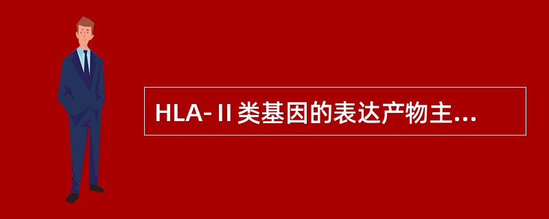 HLA-Ⅱ类基因的表达产物主要分布于（）
