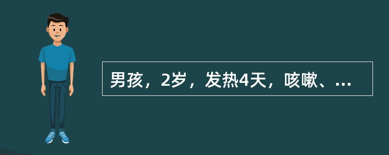 男孩，2岁，发热4天，咳嗽、轻喘。查体：双肺可闻及散在的中小水泡音，诊断是（）