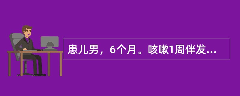 患儿男，6个月。咳嗽1周伴发热1天。查体：呼吸60次/分，口周青，双肺闻中小水泡音，心率180次/分，肝肋下3.5cm。胸部X线片：双下肺模糊片影，心胸比例0.65。最可能的诊断是（）。