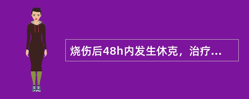 烧伤后48h内发生休克，治疗的主要措施是（）