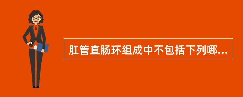 肛管直肠环组成中不包括下列哪一部分（）