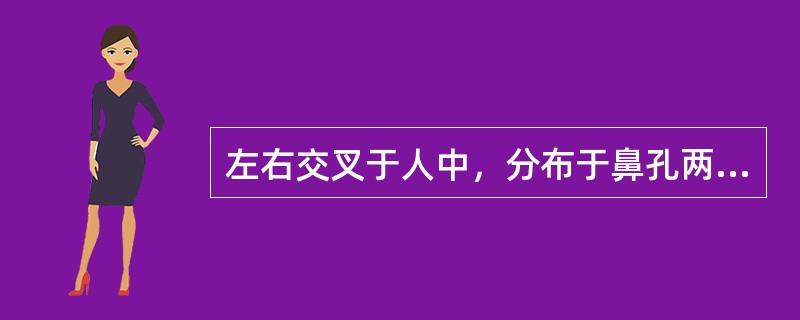 左右交叉于人中，分布于鼻孔两侧的经脉是（）