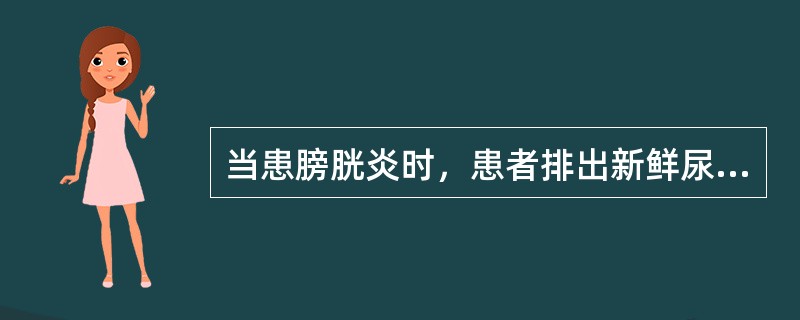 当患膀胱炎时，患者排出新鲜尿液有（）