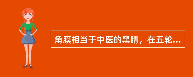 角膜相当于中医的黑睛，在五轮中属（）