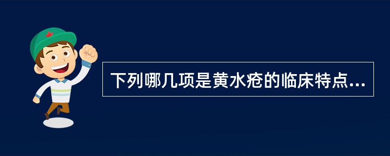 下列哪几项是黄水疮的临床特点（）