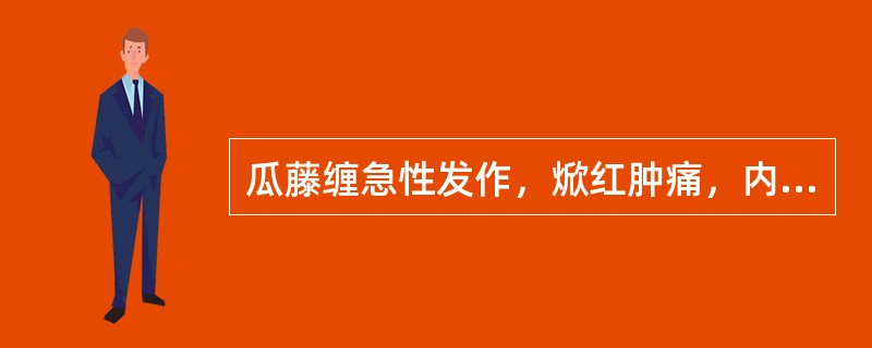 瓜藤缠急性发作，焮红肿痛，内治首选（）
