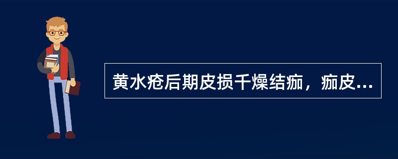 黄水疮后期皮损千燥结痂，痂皮脱落，留下疤痕。（）