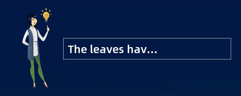 The leaves havebeen swept into huge [heaps].