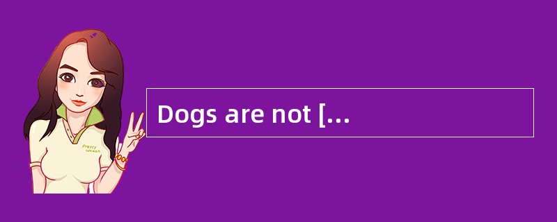 Dogs are not [permitted]into the office.