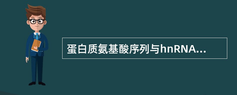 蛋白质氨基酸序列与hnRNA序列不完全对应的可能原因
