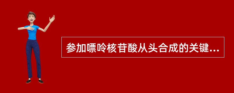 参加嘌呤核苷酸从头合成的关键酶（　）。