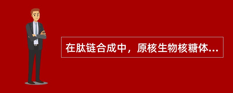 在肽链合成中，原核生物核糖体中具有结合进位氨基酰-tRNA.的是（　）。