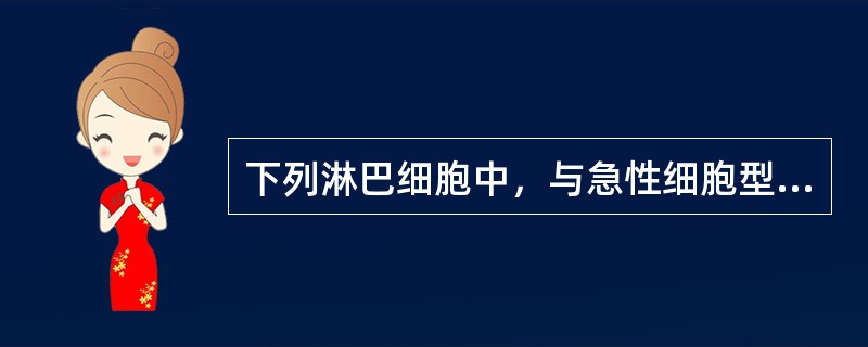 下列淋巴细胞中，与急性细胞型排斥反应密切相关的是（　）。