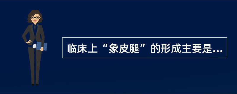 临床上“象皮腿”的形成主要是由于（　　）。
