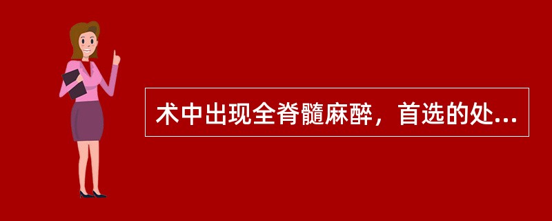 术中出现全脊髓麻醉，首选的处理是（　　）。