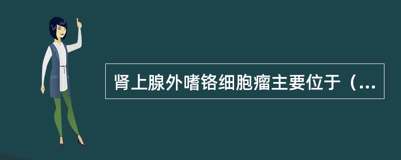 肾上腺外嗜铬细胞瘤主要位于（　　）。