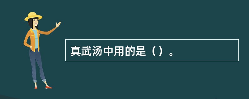 真武汤中用的是（）。