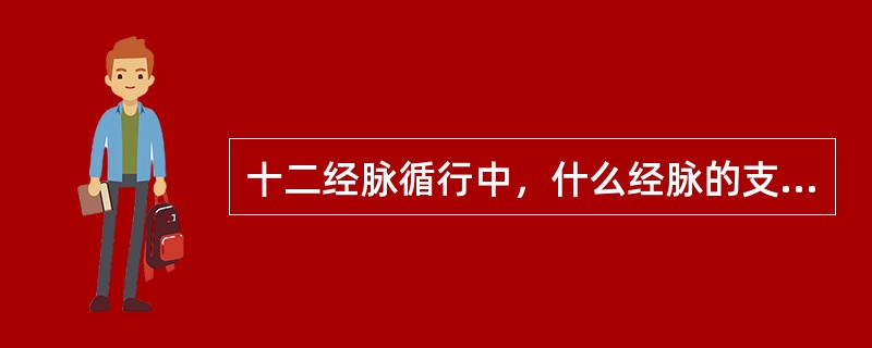 十二经脉循行中，什么经脉的支脉、经别入耳中？（　　） 