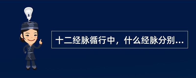 十二经脉循行中，什么经脉分别上耳前、至耳上角?（　　） 