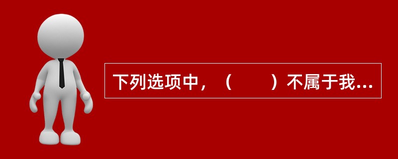 下列选项中，（　　）不属于我国社会主义法的正式意义上的渊源。