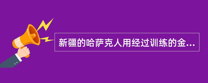 新疆的哈萨克人用经过训练的金雕在草原上长途追击野狼。某研究小组为研究金雕的飞行方向和判断野狼群的活动范围，将无线电传导器放置在一只金雕身上进行追踪。野狼为了觅食，其活动范围通常很广，因此，金雕追击野狼