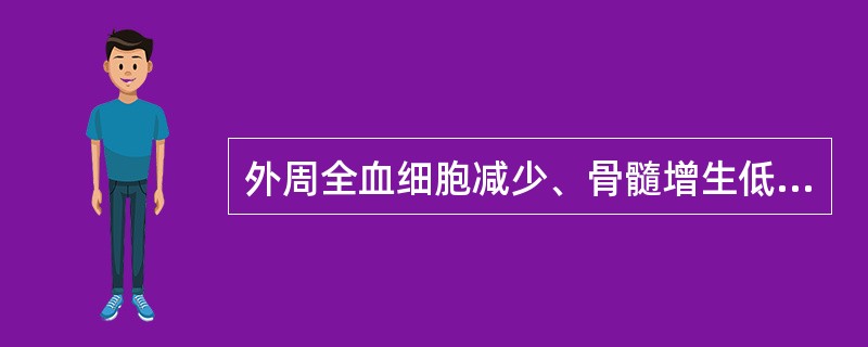 外周全血细胞减少、骨髓增生低下、三系造血细胞减少，符合（　　）。