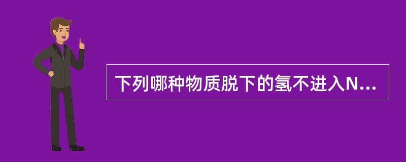 下列哪种物质脱下的氢不进入NADH呼吸链？（　　）