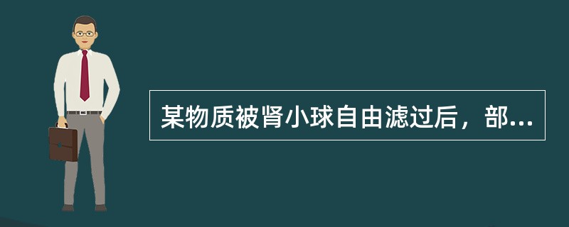 某物质被肾小球自由滤过后，部分被肾小管分泌，其血浆清除率（　　）。 