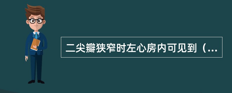 二尖瓣狭窄时左心房内可见到（　　）。 