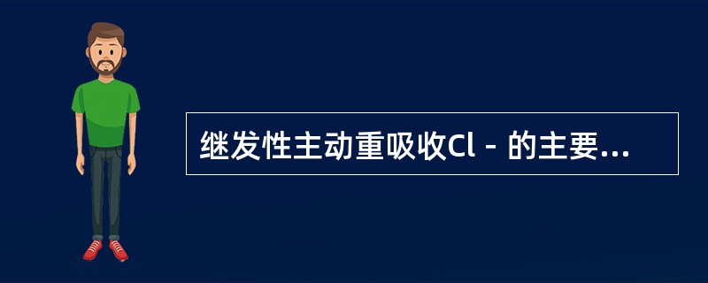 继发性主动重吸收Cl－的主要部位是（　　）。