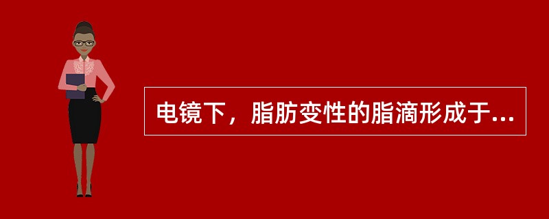 电镜下，脂肪变性的脂滴形成于（　　）。