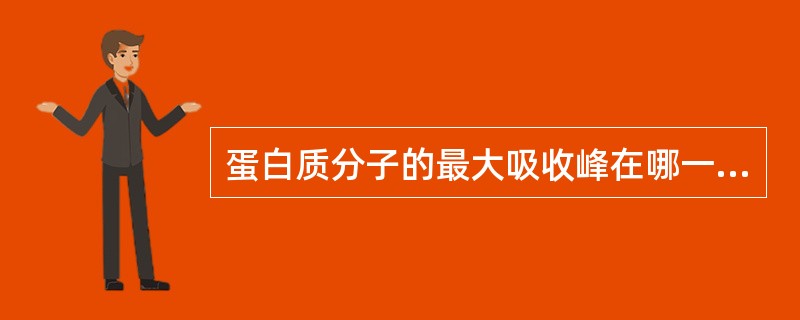 蛋白质分子的最大吸收峰在哪一波长附近？（　　） 