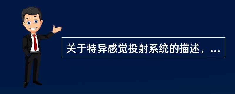 关于特异感觉投射系统的描述，正确的是（　　）。