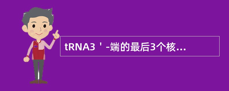 tRNA3＇-端的最后3个核苷酸序列是（　　）。
