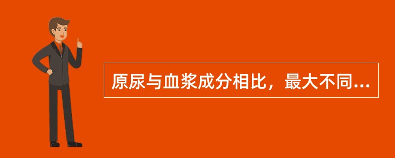 原尿与血浆成分相比，最大不同在于（　　）。