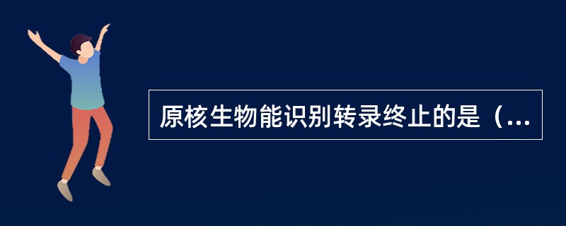 原核生物能识别转录终止的是（　　）。