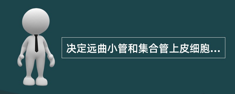 决定远曲小管和集合管上皮细胞对水通透性最重要的激素是（　　）。