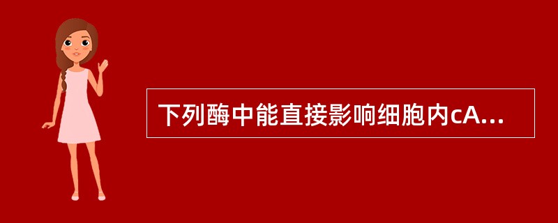 下列酶中能直接影响细胞内cAMP含量的是（　　）。